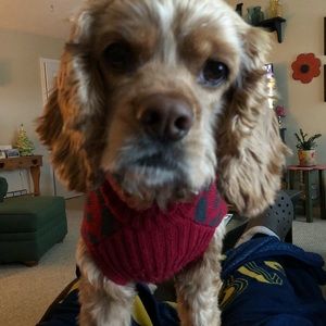 Meet your Posher, Kourtney